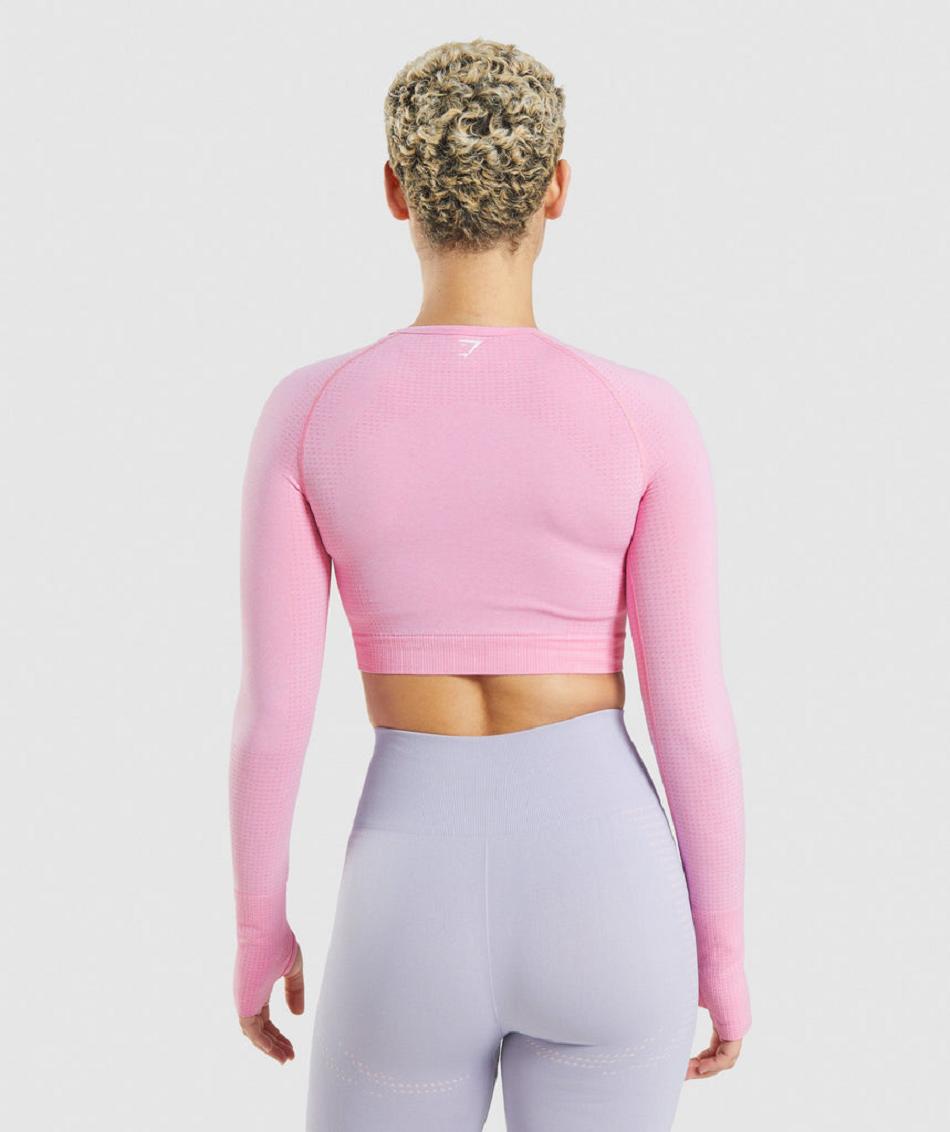 Camisa Recortada Gymshark Vital Seamless 2.0 Mujer Rosas | MX_4377VRW