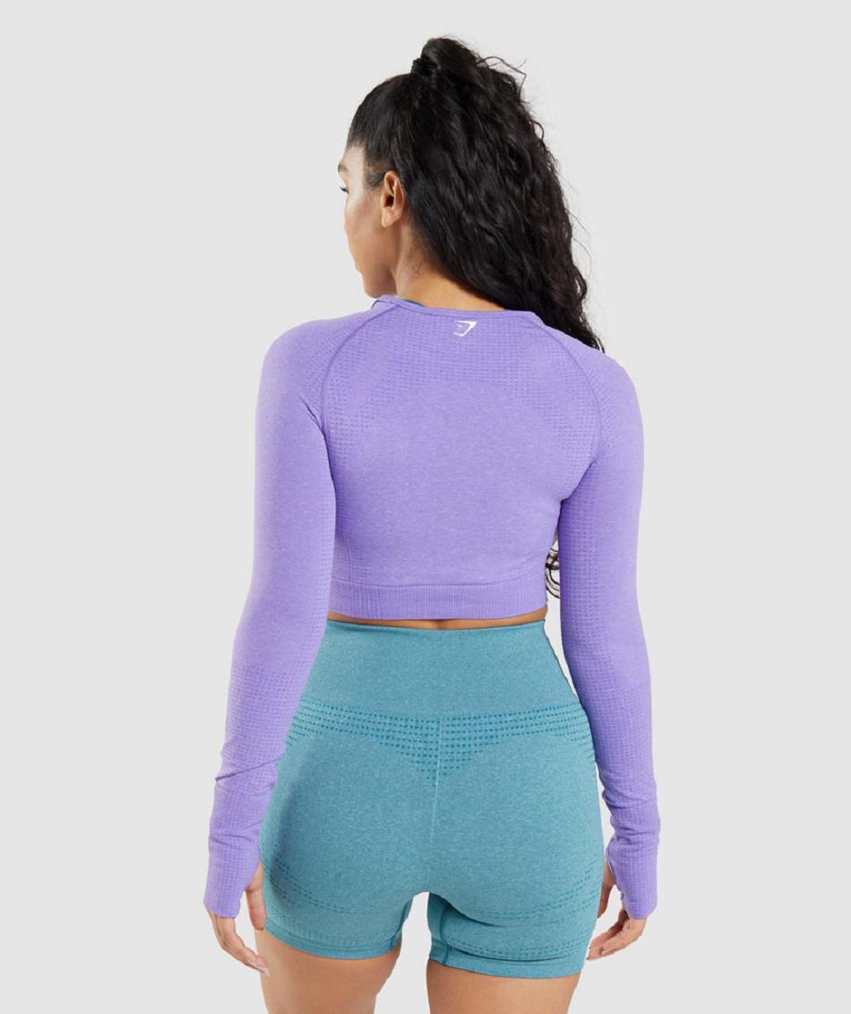 Camisa Recortada Gymshark Vital Seamless 2.0 Long Sleeve Mujer Morados Claro | MX_4449HAP