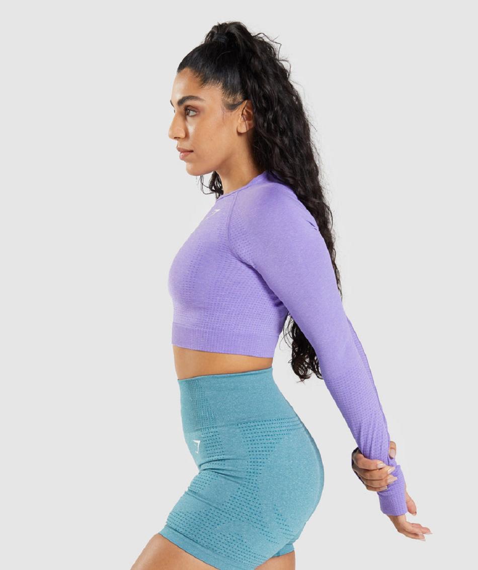 Camisa Recortada Gymshark Vital Seamless 2.0 Long Sleeve Mujer Morados Claro | MX_4449HAP