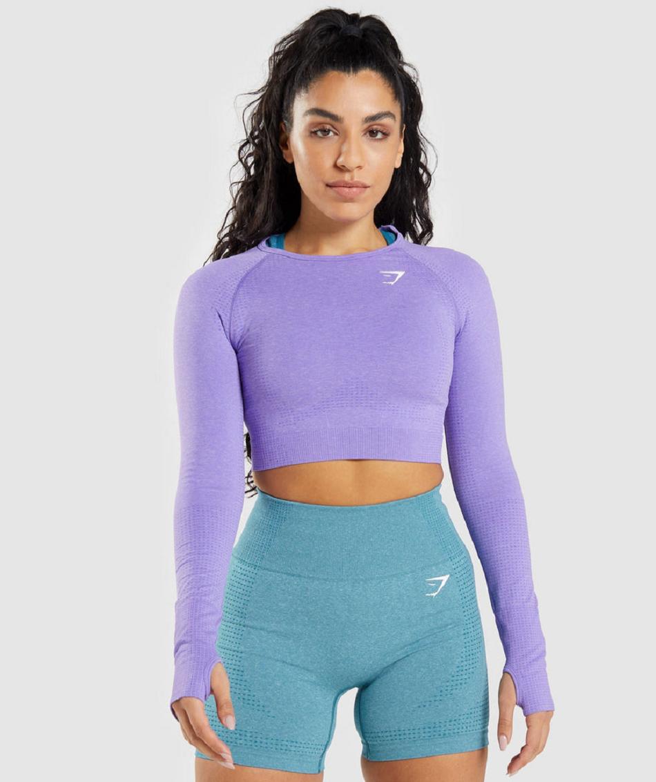 Camisa Recortada Gymshark Vital Seamless 2.0 Long Sleeve Mujer Morados Claro | MX_4449HAP