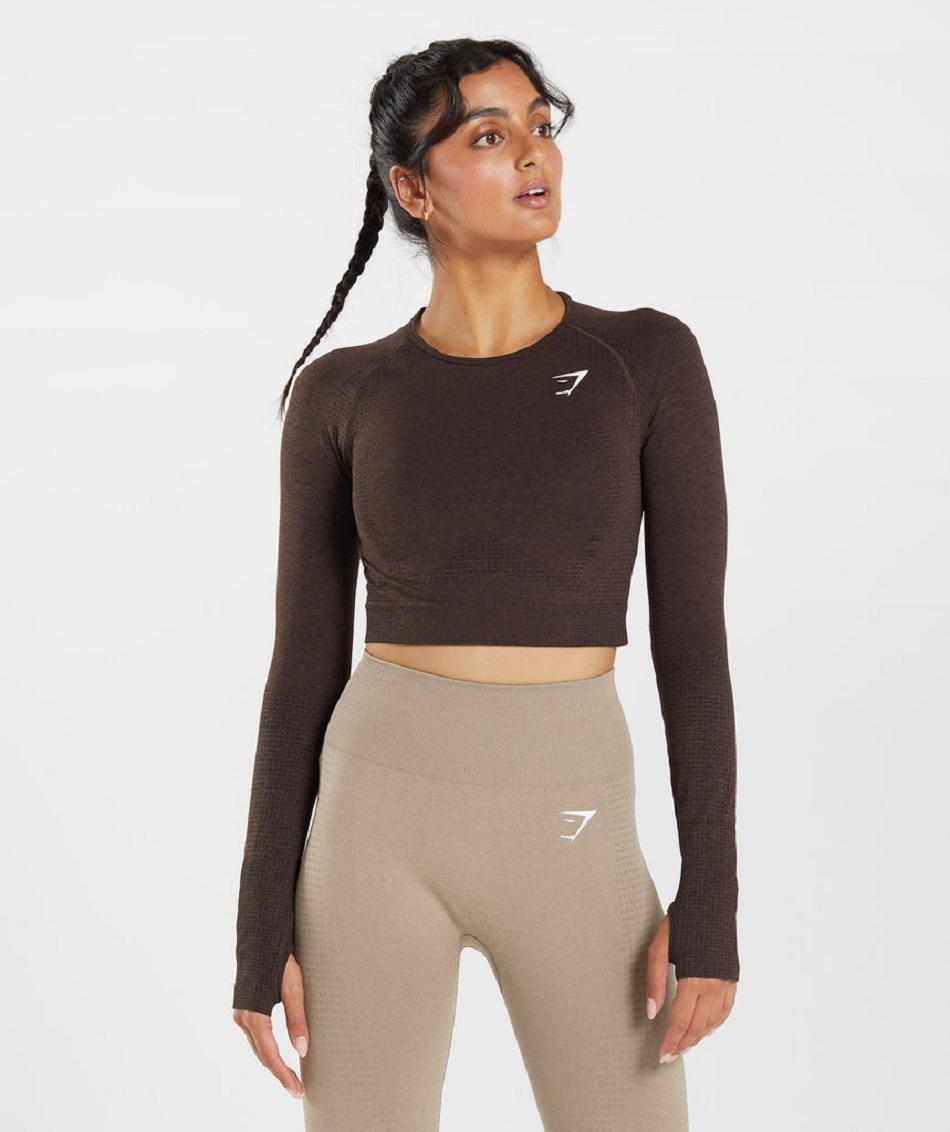 Camisa Recortada Gymshark Vital Seamless 2.0 Mujer Rosas Marrom | MX_4513WNB