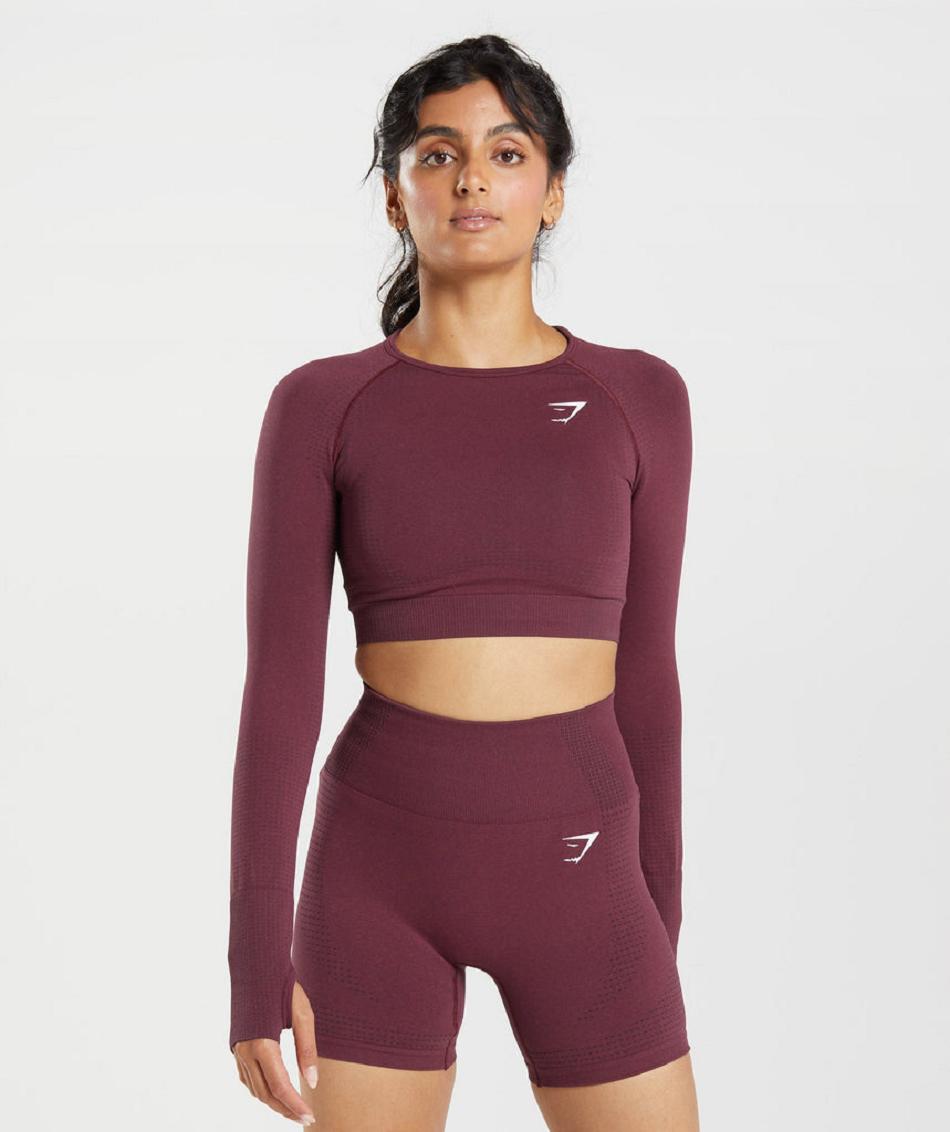 Camisa Recortada Gymshark Vital Seamless 2.0 Mujer Vino | MX_4514AHK