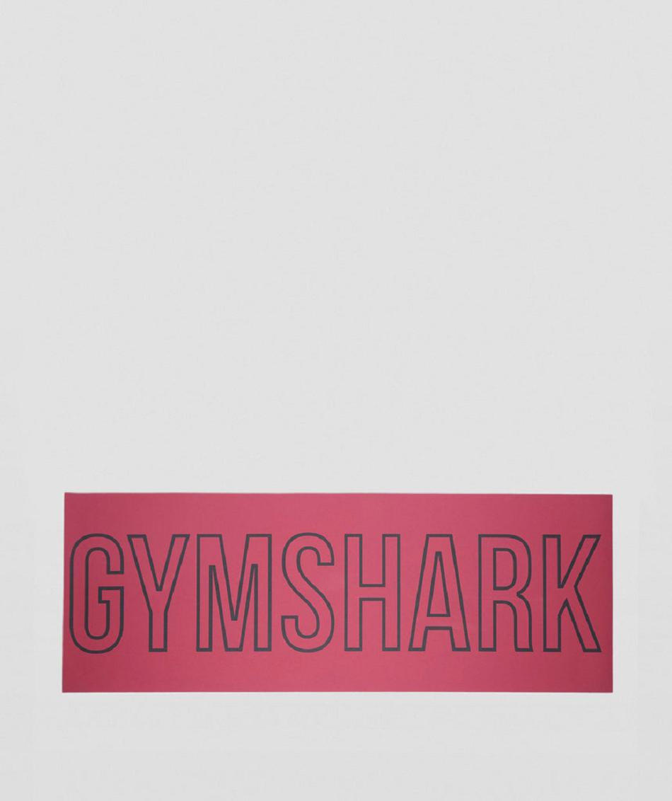 Equipo Gymshark Studio Mat Accessories Rosas | MX_2866VRW