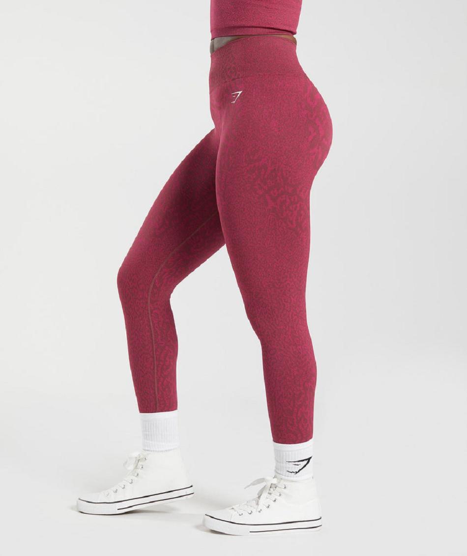 Leggins Gymshark Adapt Animal Seamless Mujer Rosas Marrom | MX_4778GSO