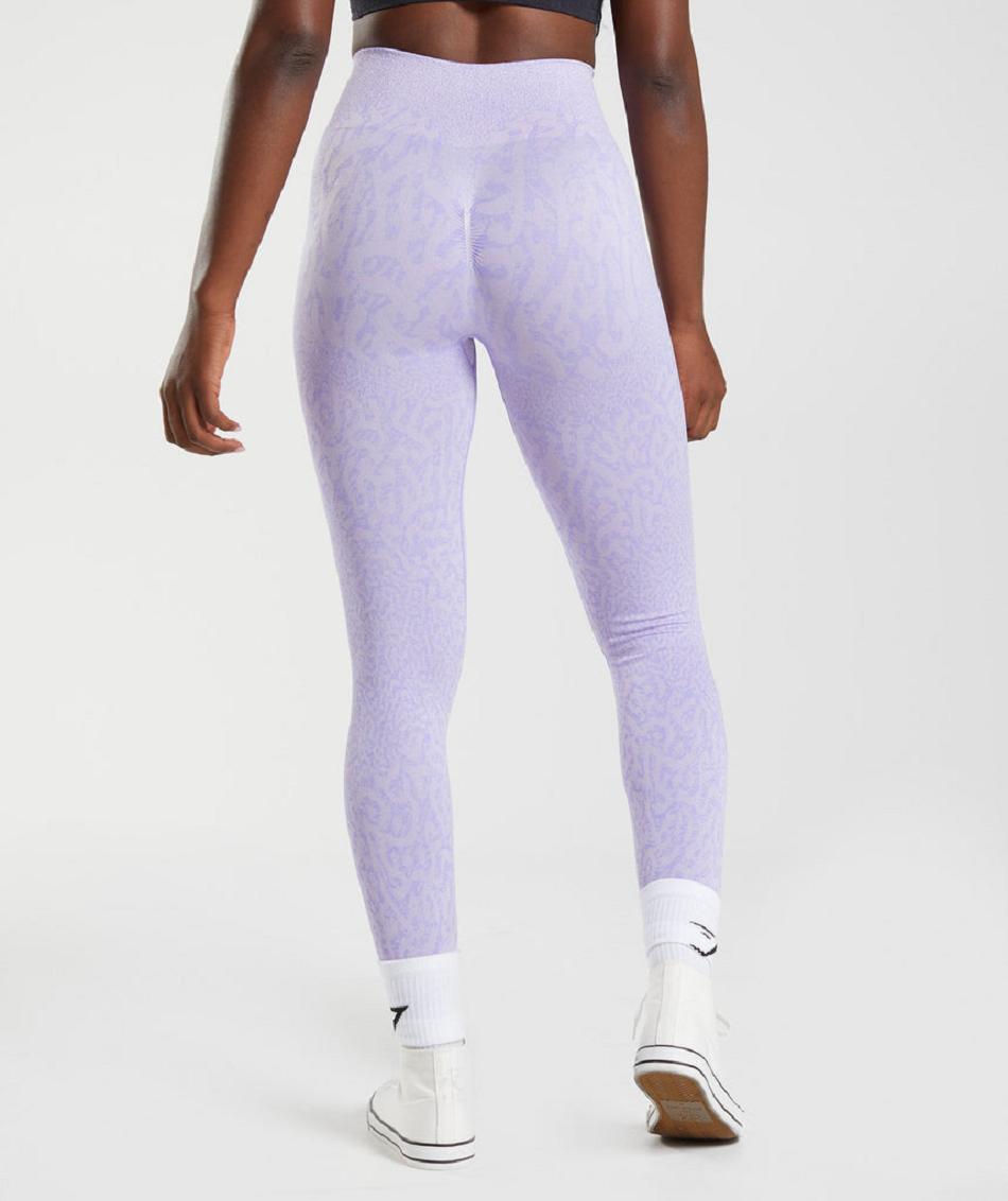 Leggins Gymshark Adapt Animal Seamless Mujer Morados | MX_4850SGL