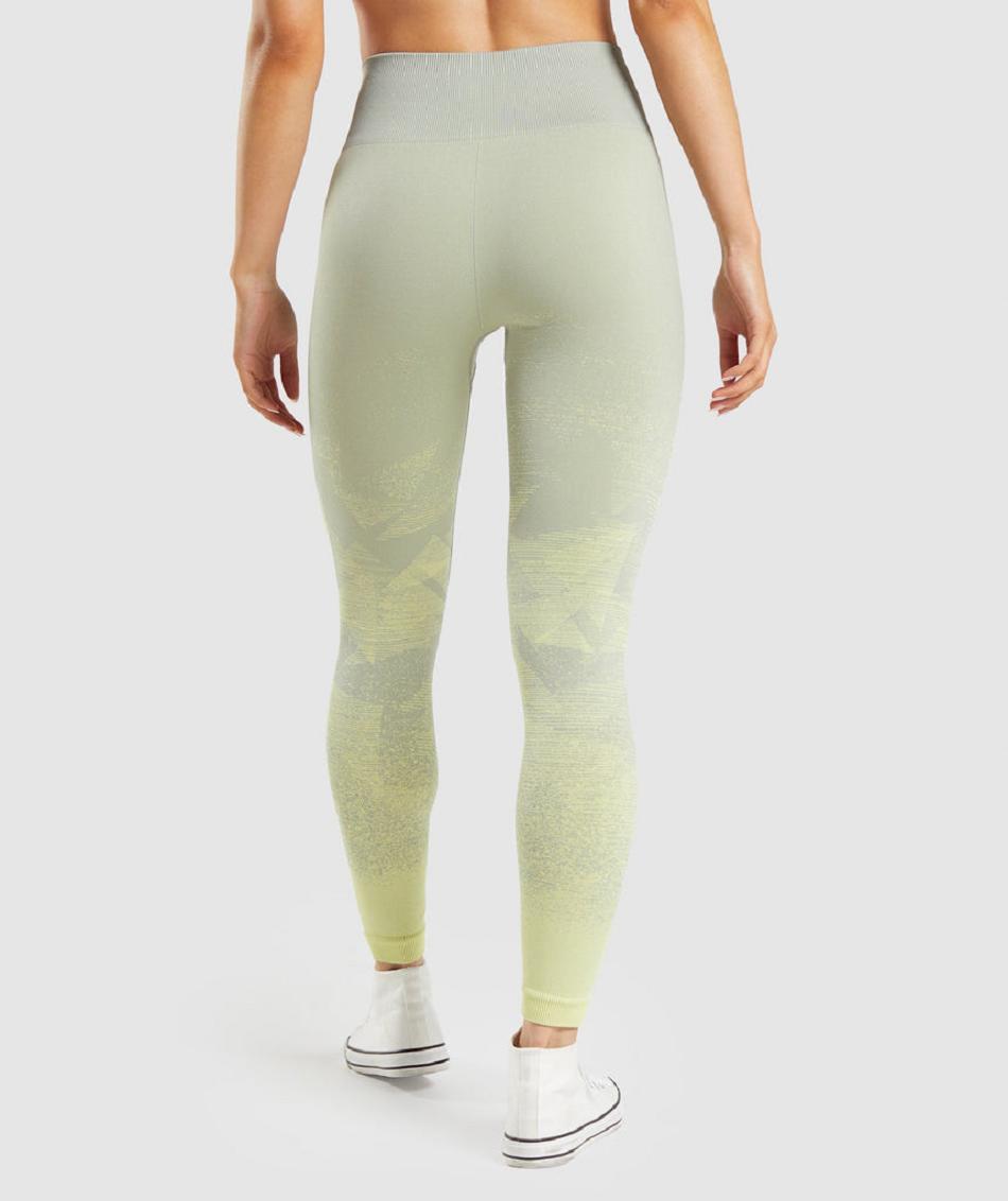 Leggins Gymshark Adapt Ombre Seamless Mujer Grises Marrom Grises | MX_4726GSO