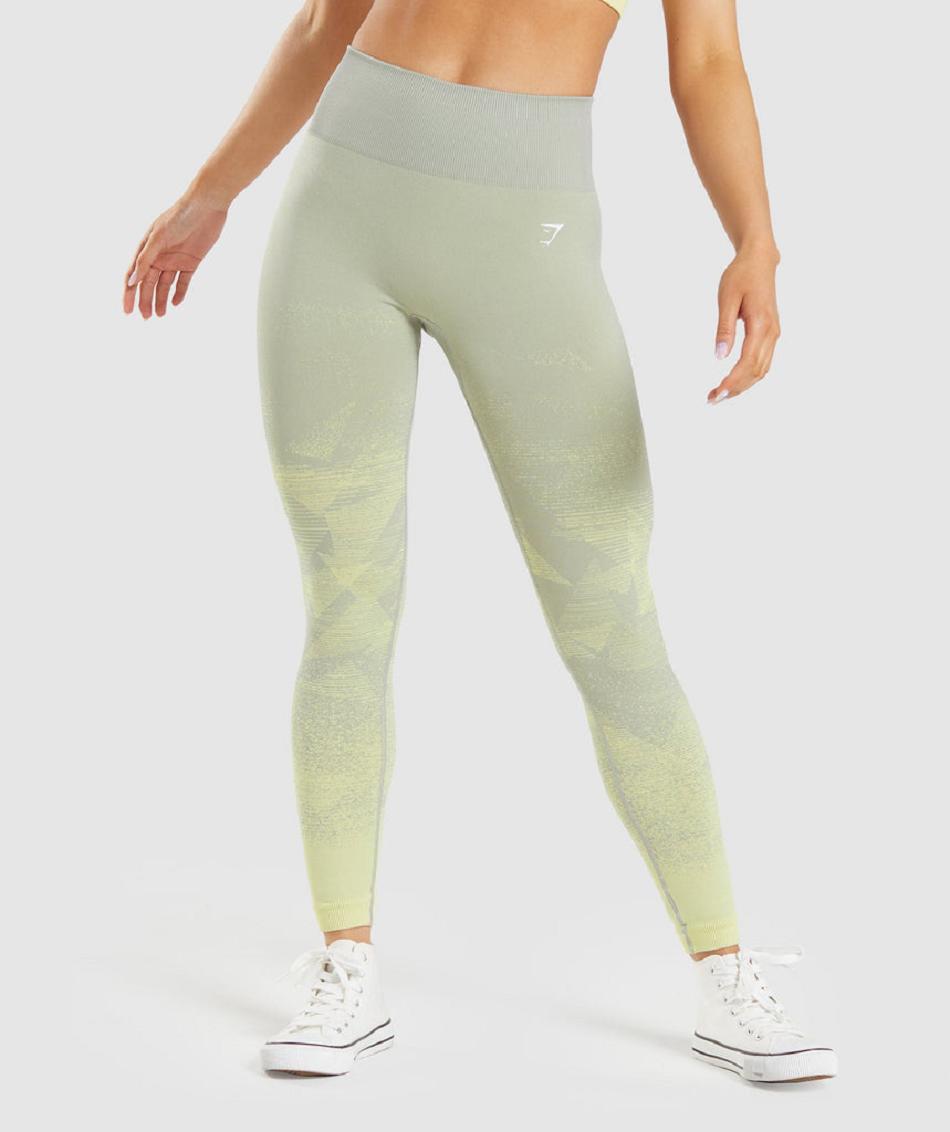 Leggins Gymshark Adapt Ombre Seamless Mujer Grises Marrom Grises | MX_4726GSO