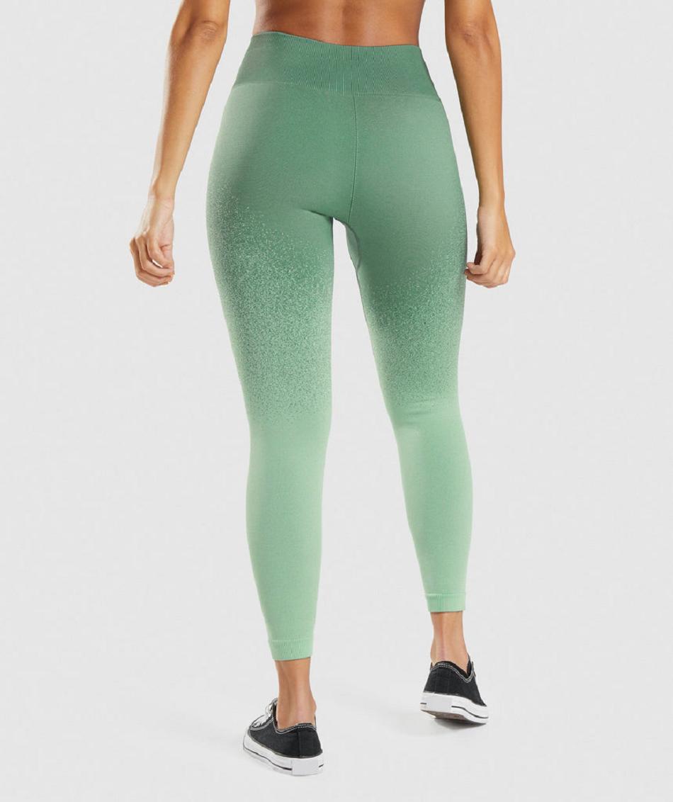 Leggins Gymshark Adapt Ombre Seamless Mujer Verdes Verdes Claro | MX_4769BEX