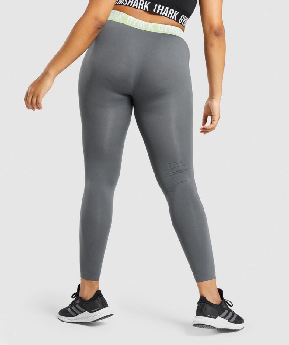 Leggins Gymshark Fit Seamless Mujer Grises | MX_4727HAP