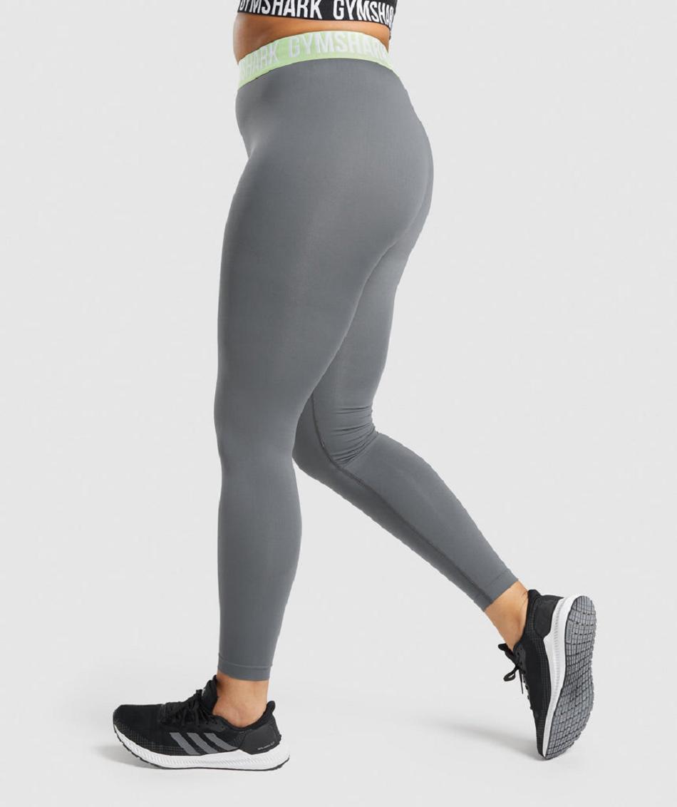 Leggins Gymshark Fit Seamless Mujer Grises | MX_4727HAP