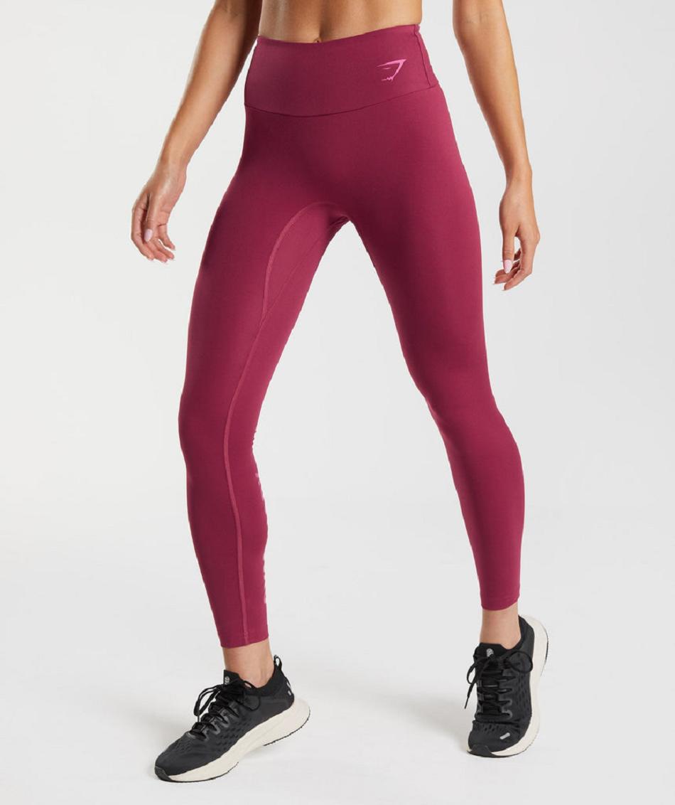 Leggins Gymshark Graphics Fraction Mujer Rosas | MX_4810GSO