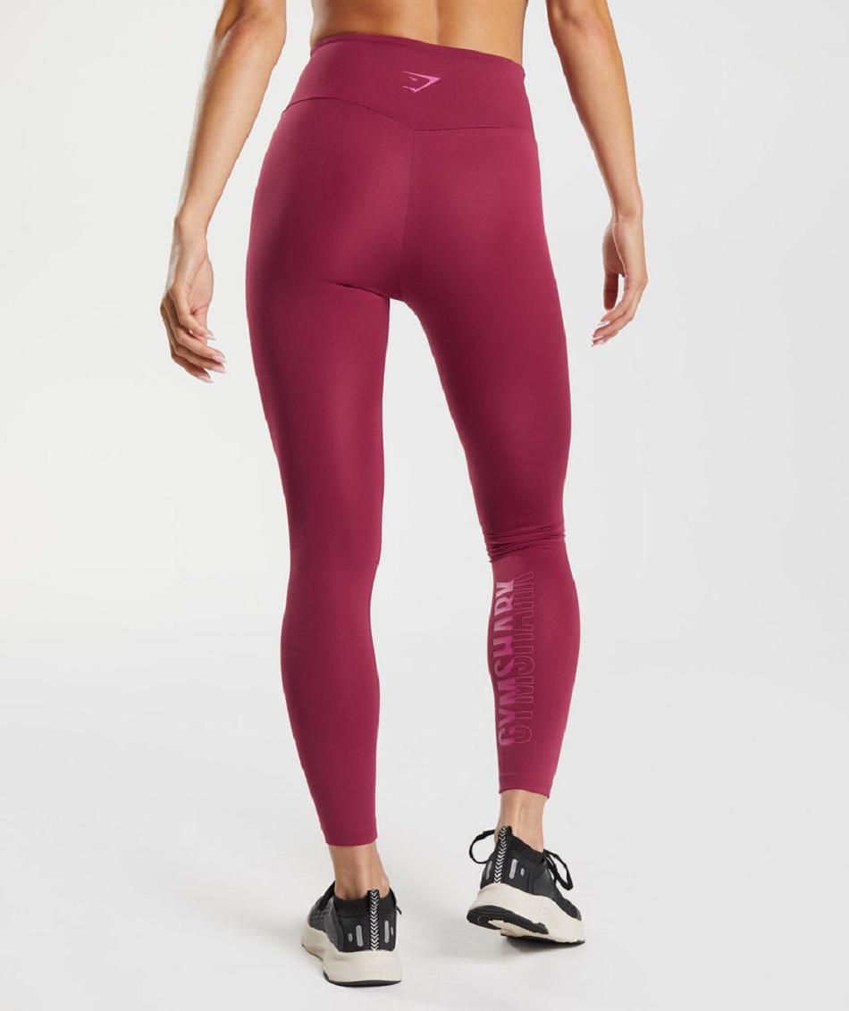 Leggins Gymshark Graphics Fraction Mujer Rosas | MX_4810GSO