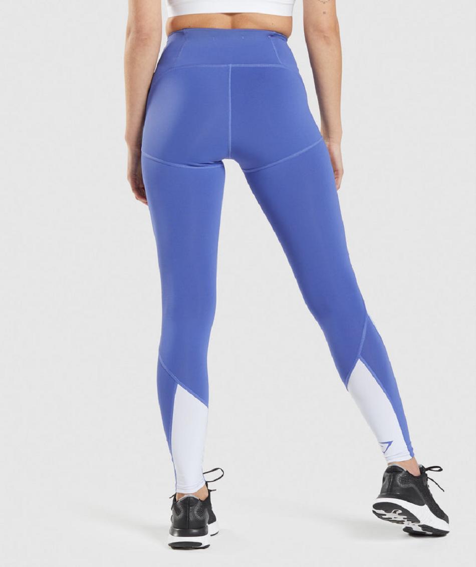 Leggins Gymshark Pulse Mesh Mujer Azules Azules Blancos | MX_4740CTV