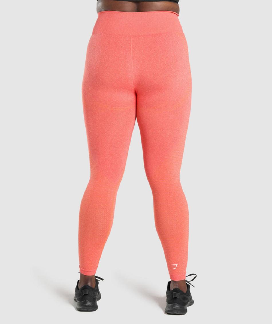 Leggins Gymshark Vital Seamless 2.0 Mujer Naranjas | MX_4717BEX