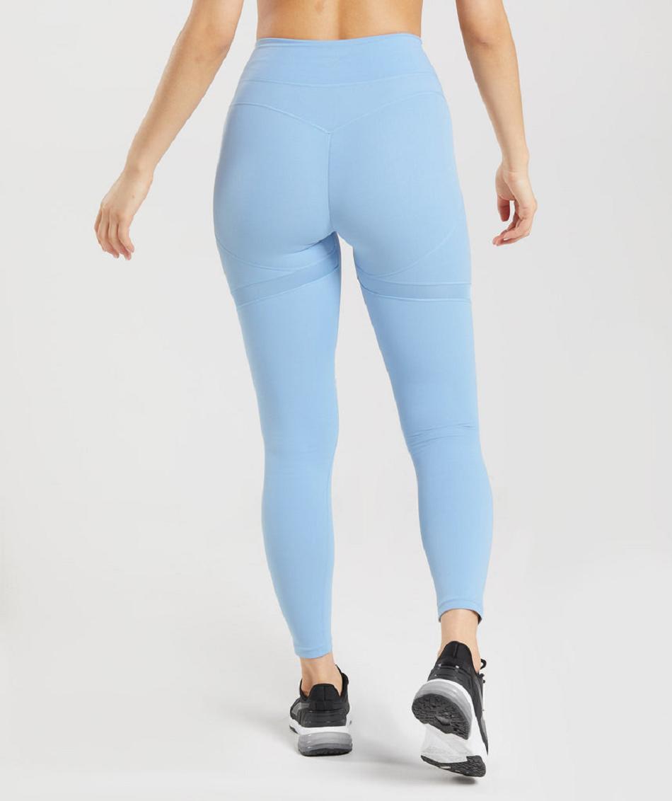 Leggins Gymshark Whitney Mesh Mujer Azules | MX_4743NWY