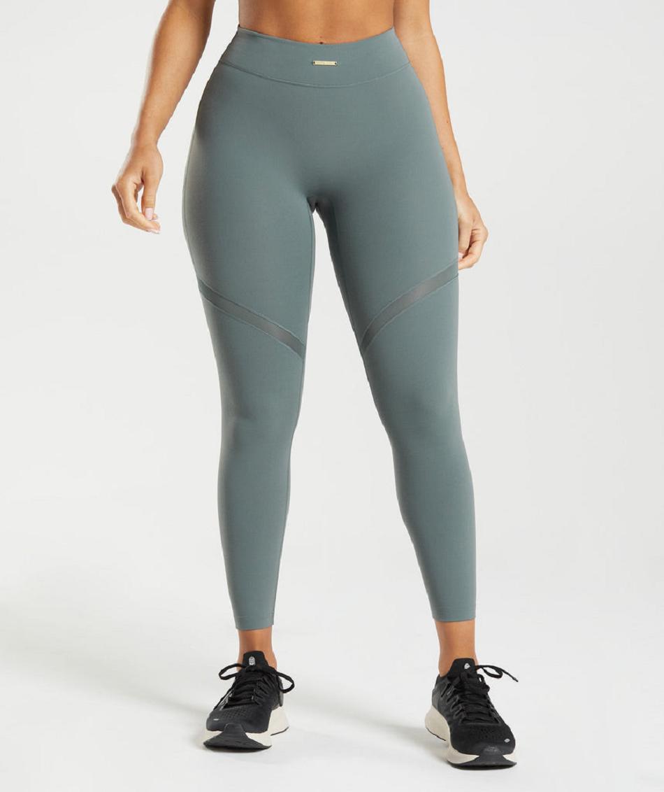 Leggins Gymshark Whitney Mesh Mujer Grises | MX_4756AHK