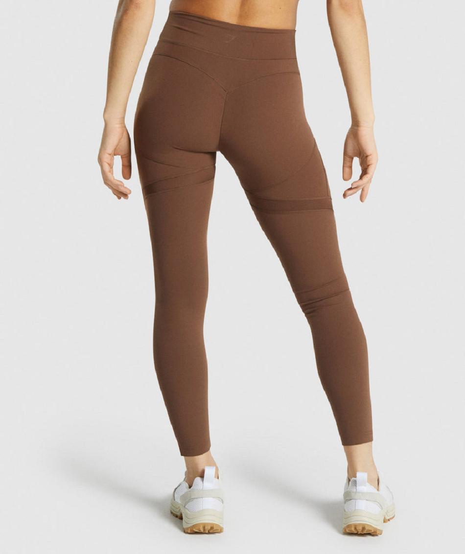 Leggins Gymshark Whitney Mesh Mujer Marrom | MX_4819BEX