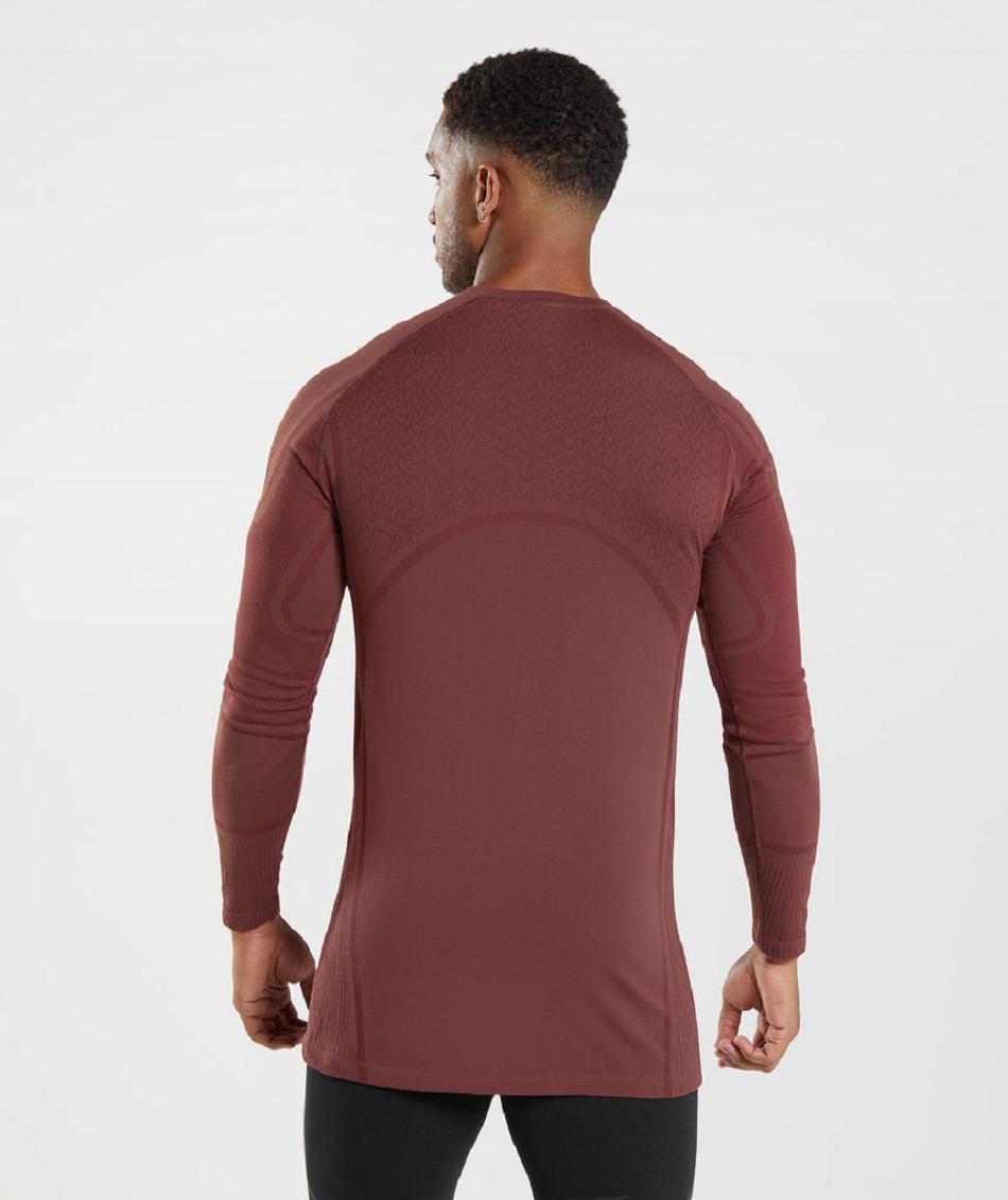 Long Sleeve Gymshark 315 Hombre Rosas Marrom | MX_3386ZUT