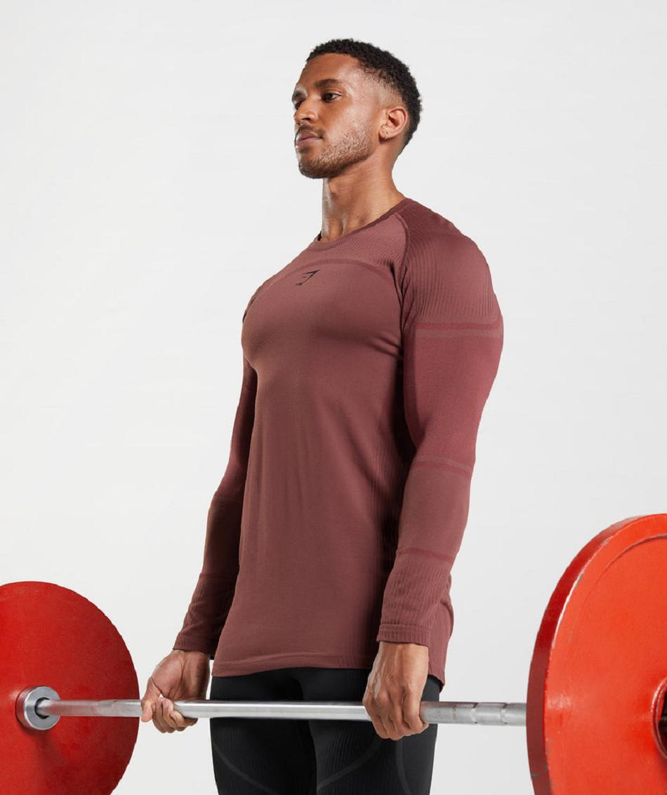 Long Sleeve Gymshark 315 Hombre Rosas Marrom | MX_3386ZUT