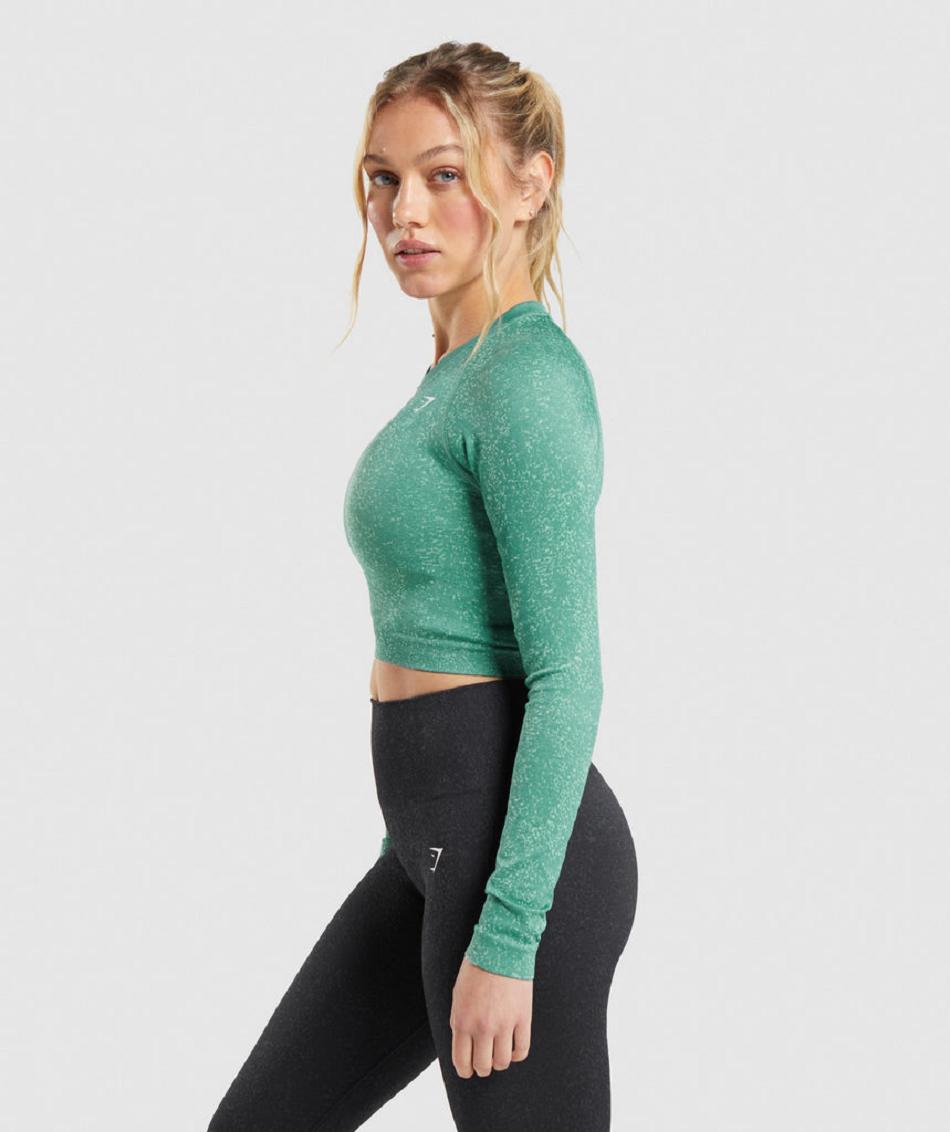 Long Sleeve Gymshark Adapt Fleck Seamless Mujer Verdes | MX_4247CTV