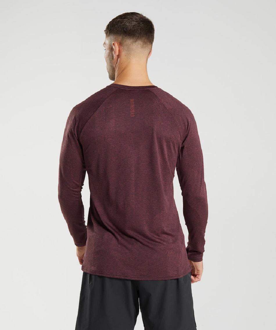 Long Sleeve Gymshark Apex Hombre Rosas Marrom | MX_3398YXF