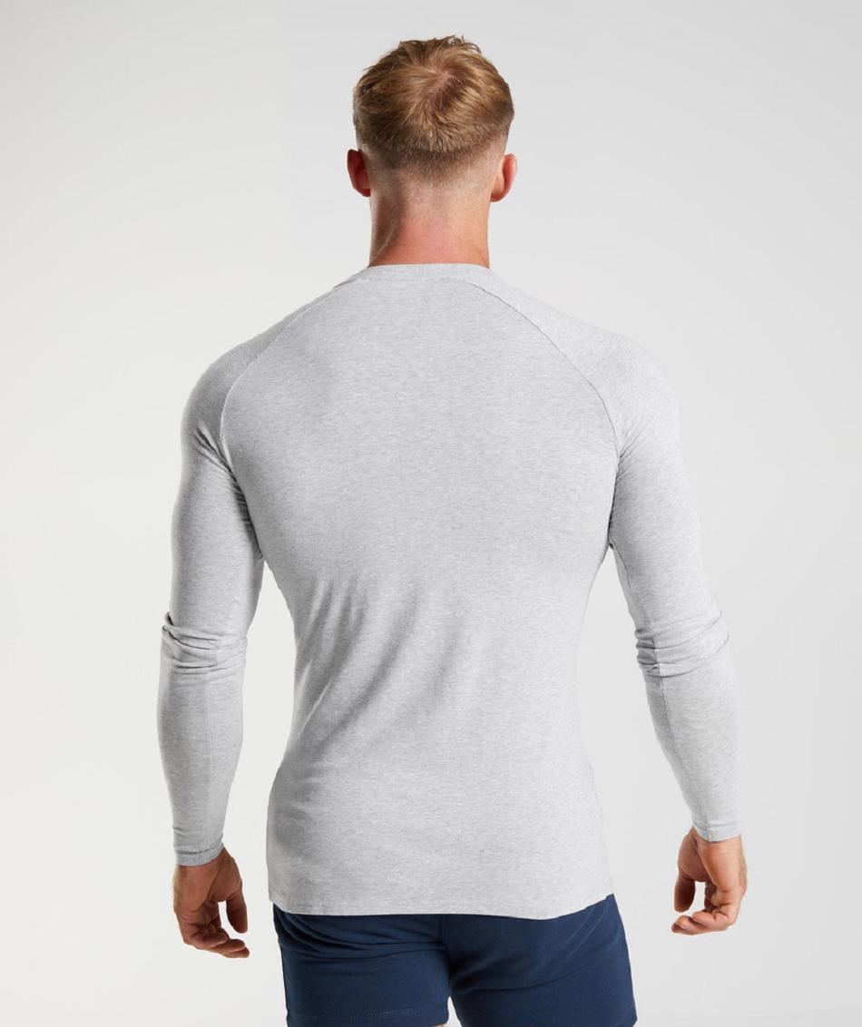 Long Sleeve Gymshark Apollo Hombre Grises Claro | MX_3369EBC