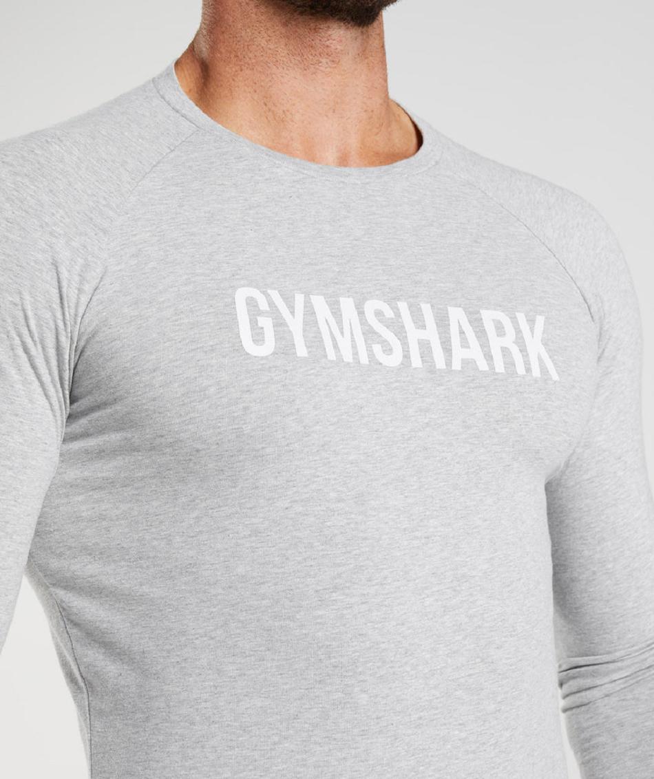 Long Sleeve Gymshark Apollo Hombre Grises Claro | MX_3369EBC