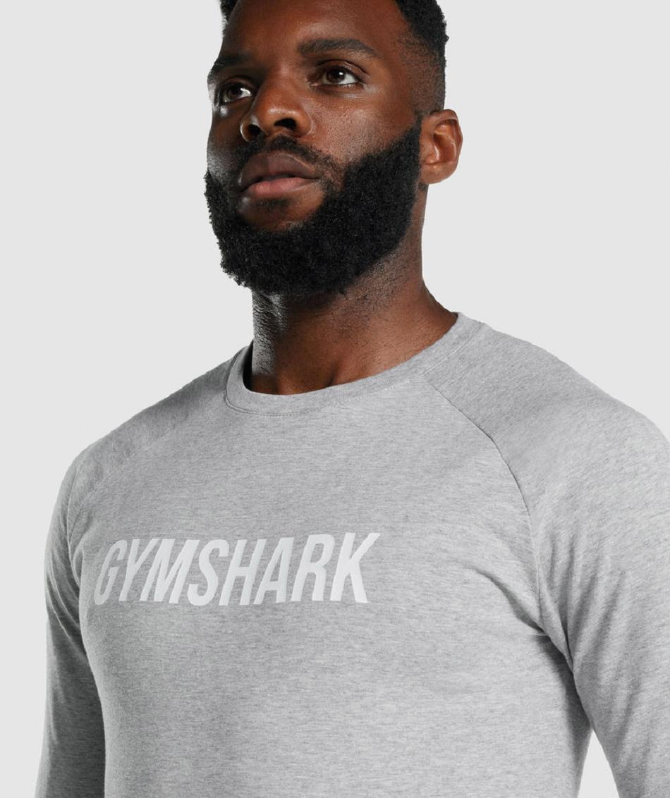 Long Sleeve Gymshark Apollo Hombre Grises Claro | MX_3414XYU