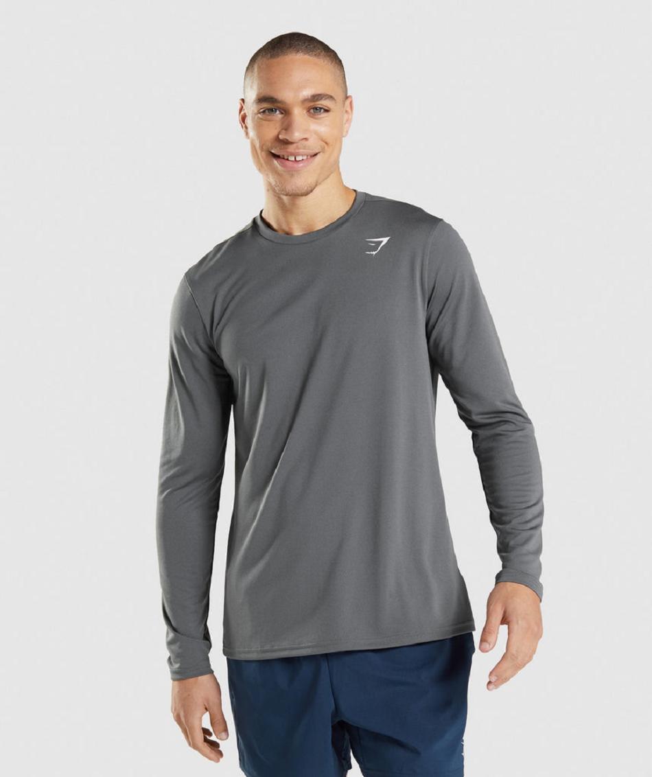 Long Sleeve Gymshark Arrival Hombre Grises | MX_3385LIS