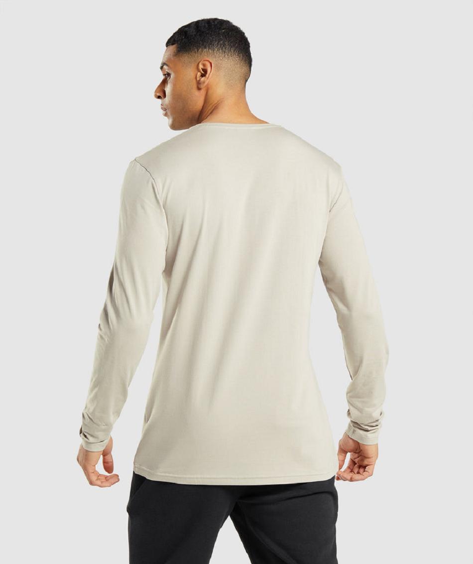 Long Sleeve Gymshark Essential Hombre Grises | MX_3389VRW