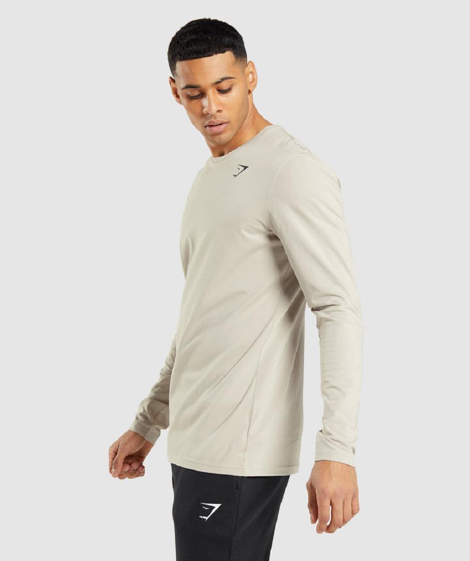 Long Sleeve Gymshark Essential Hombre Grises | MX_3389VRW