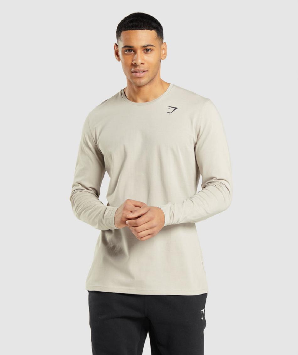 Long Sleeve Gymshark Essential Hombre Grises | MX_3389VRW