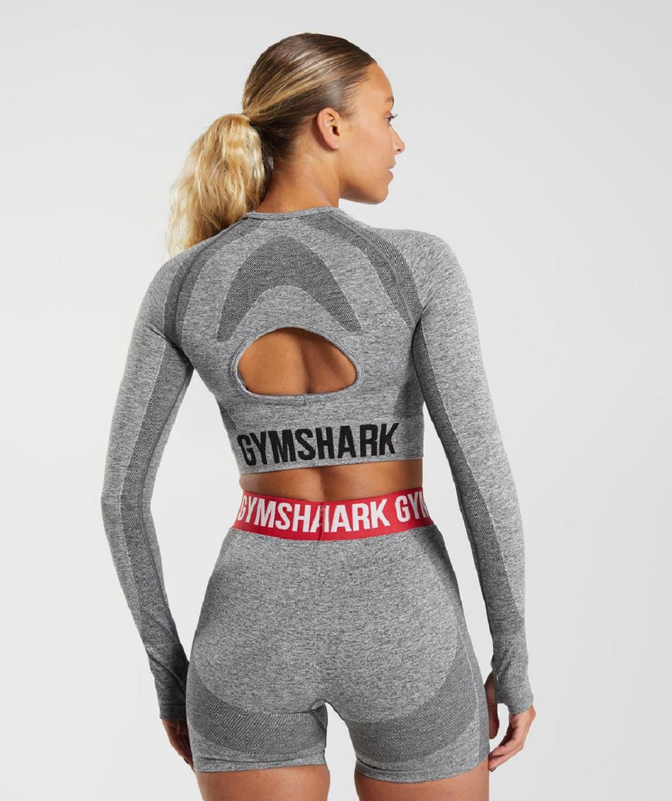 Long Sleeve Gymshark Flex Mujer Grises | MX_4264FDN