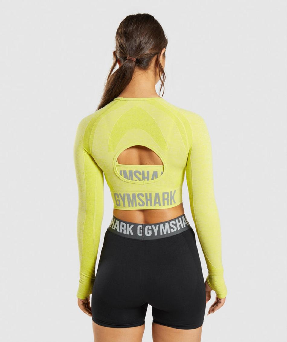 Long Sleeve Gymshark Flex Sports Mujer Amarillos | MX_4236AHK