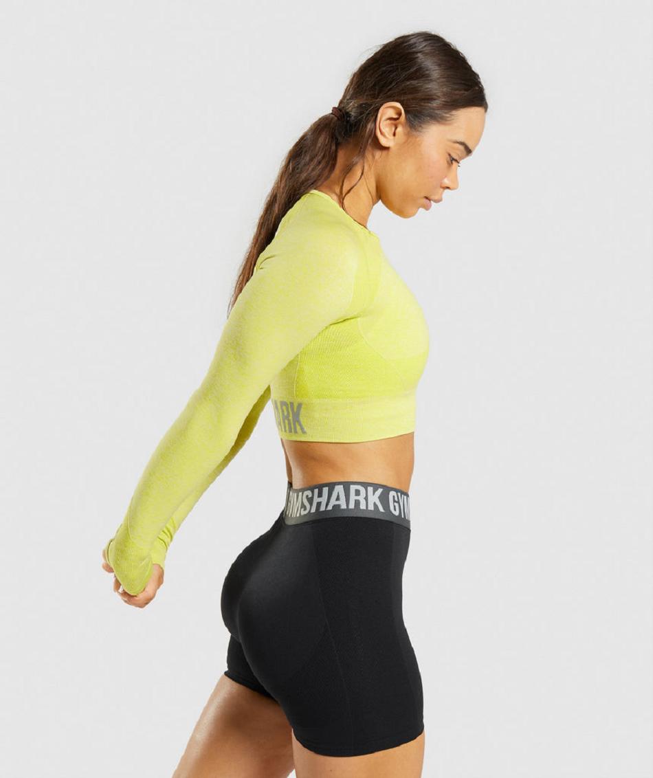 Long Sleeve Gymshark Flex Sports Mujer Amarillos | MX_4236AHK