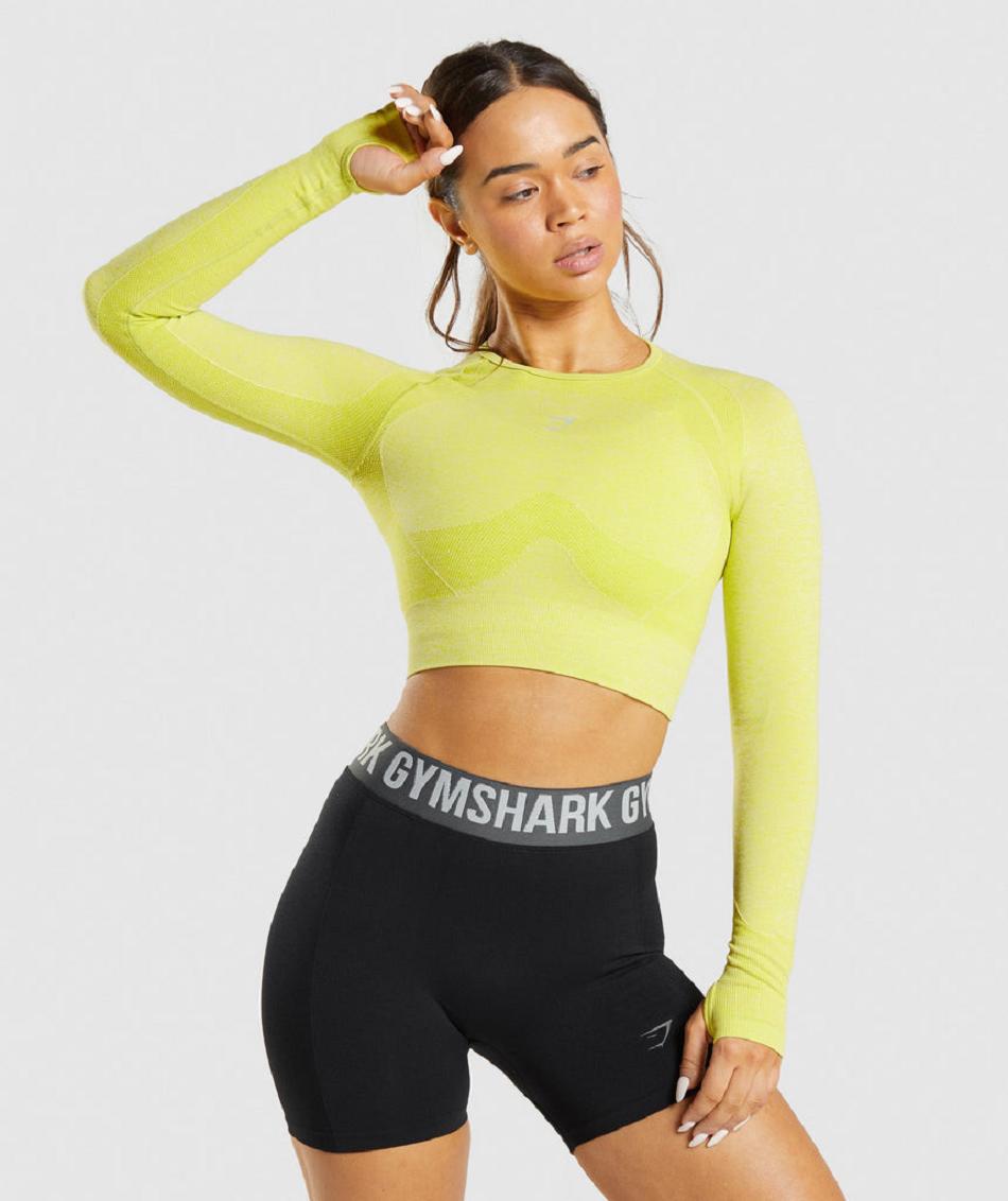 Long Sleeve Gymshark Flex Sports Mujer Amarillos | MX_4236AHK