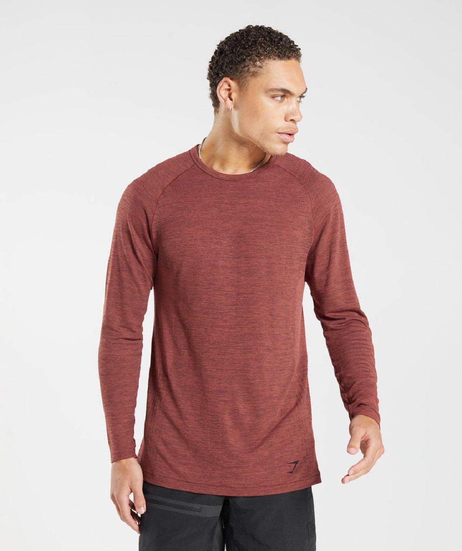 Long Sleeve Gymshark Retake Seamless Hombre Rosas Marrom Negros | MX_3406DFM