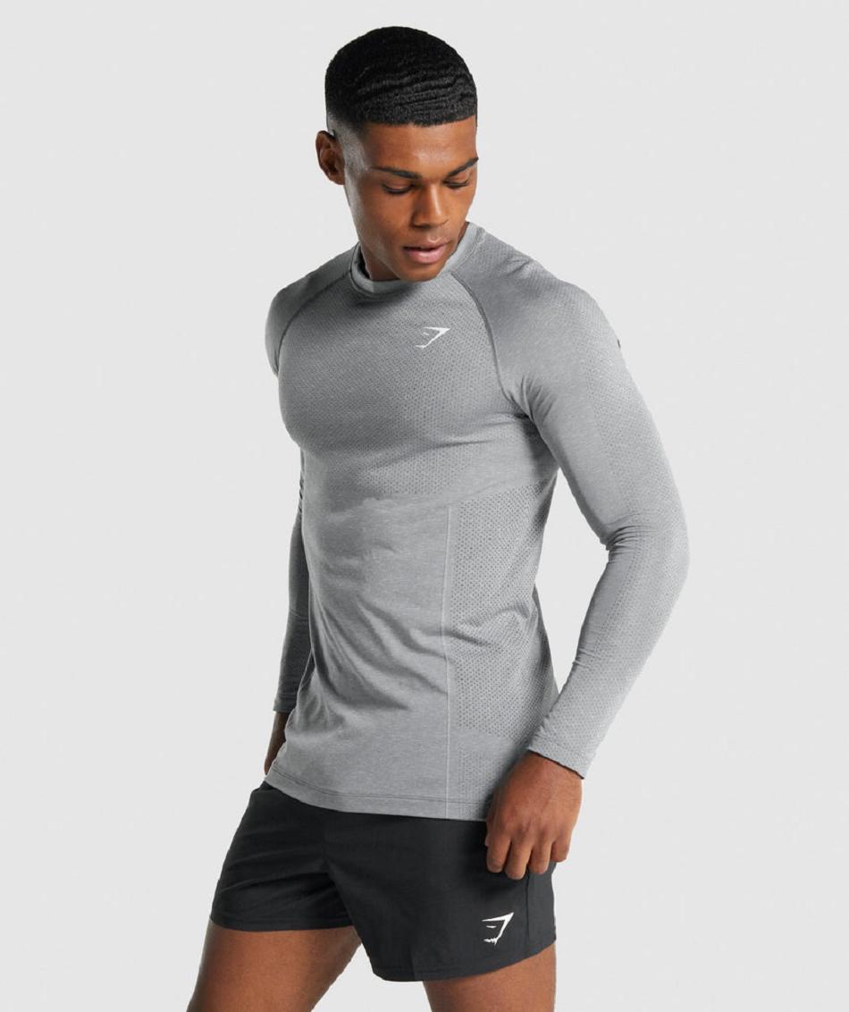 Long Sleeve Gymshark Vital Light Seamless Hombre Grises | MX_3376PJJ