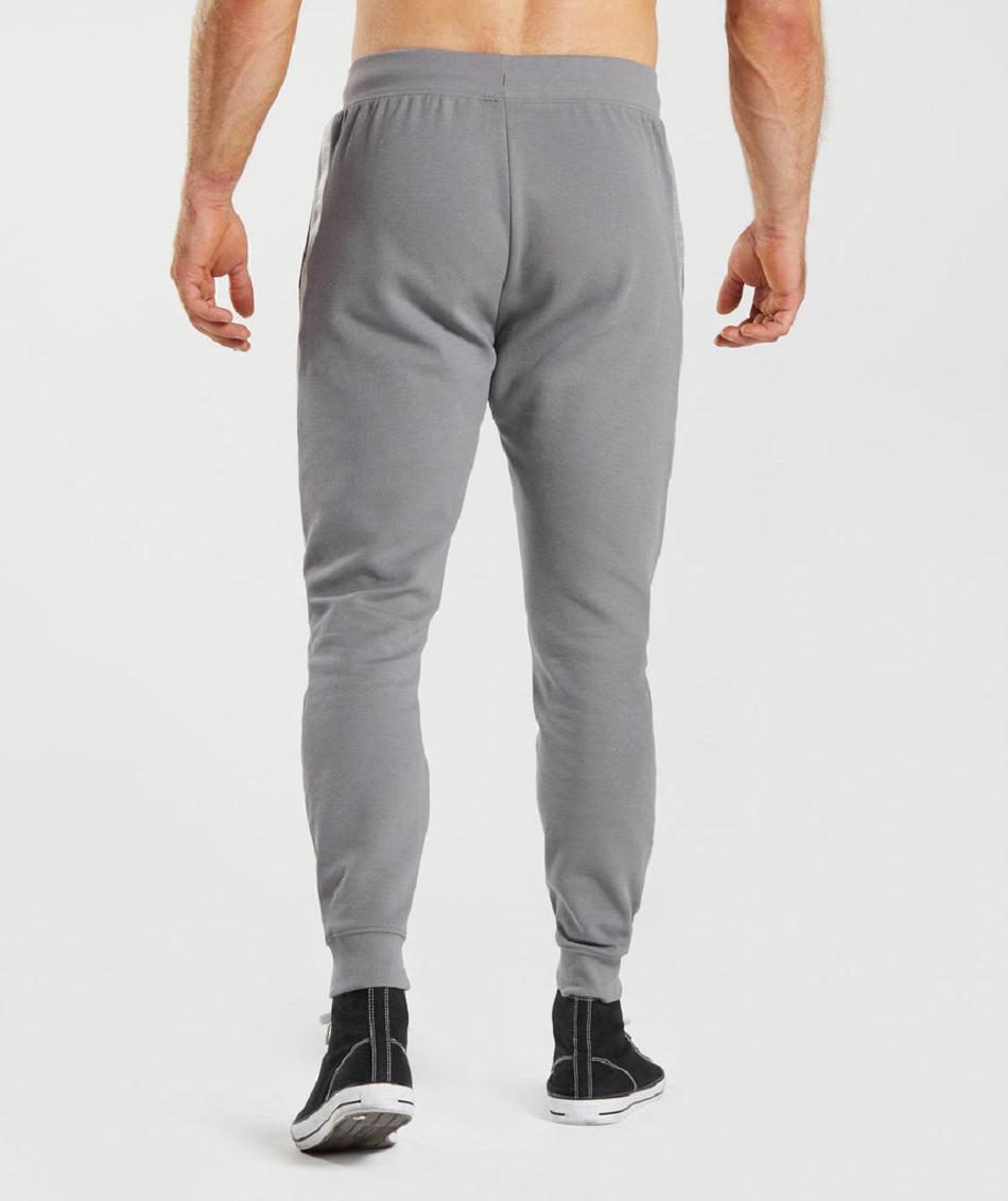 Pantalones Jogger Gymshark Bold React Hombre Grises | MX_3685FDN