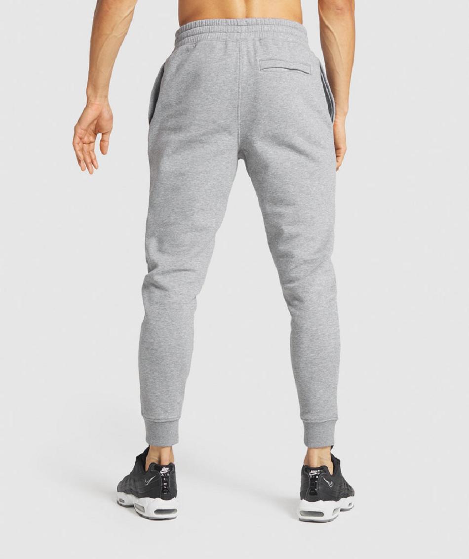 Pantalones Jogger Gymshark Crest Hombre Grises | MX_3705QMA