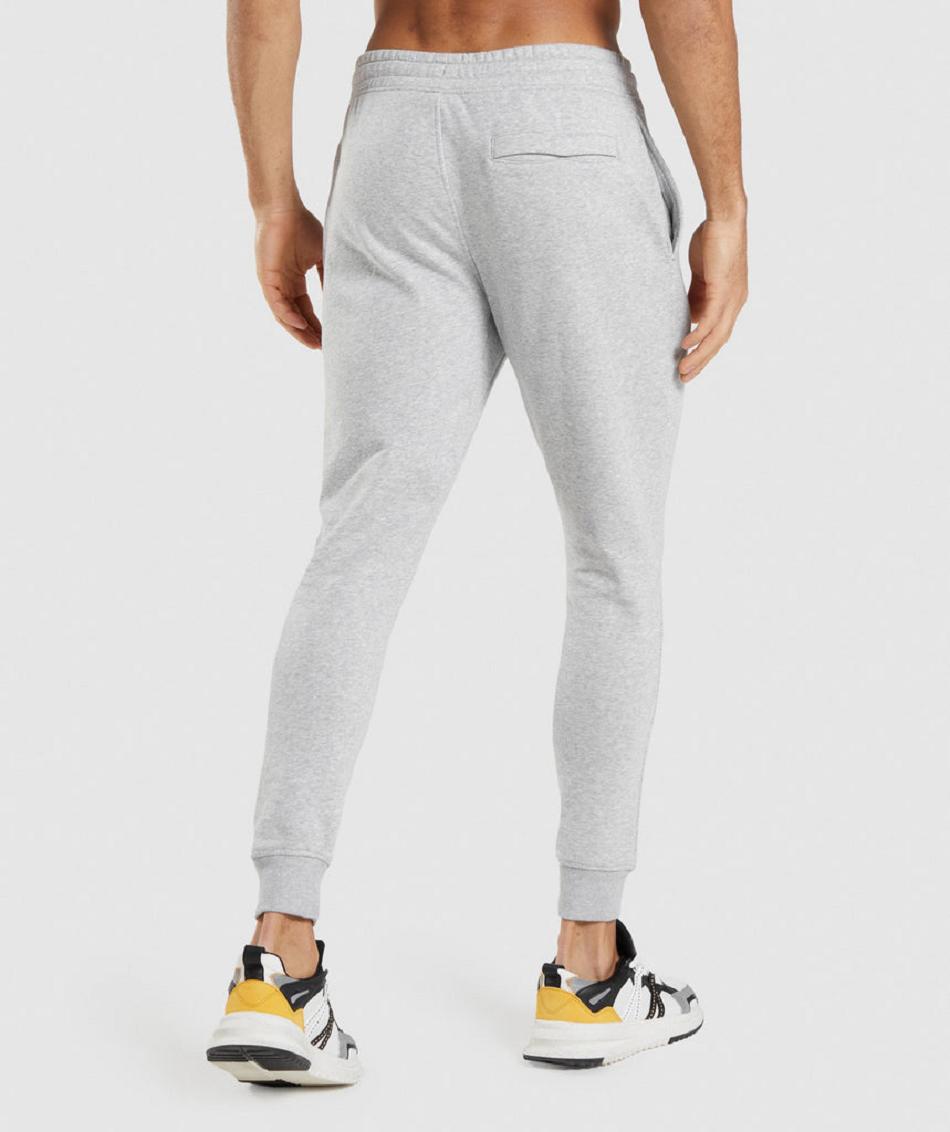 Pantalones Jogger Gymshark Crest Hombre Grises Claro | MX_3728VRW