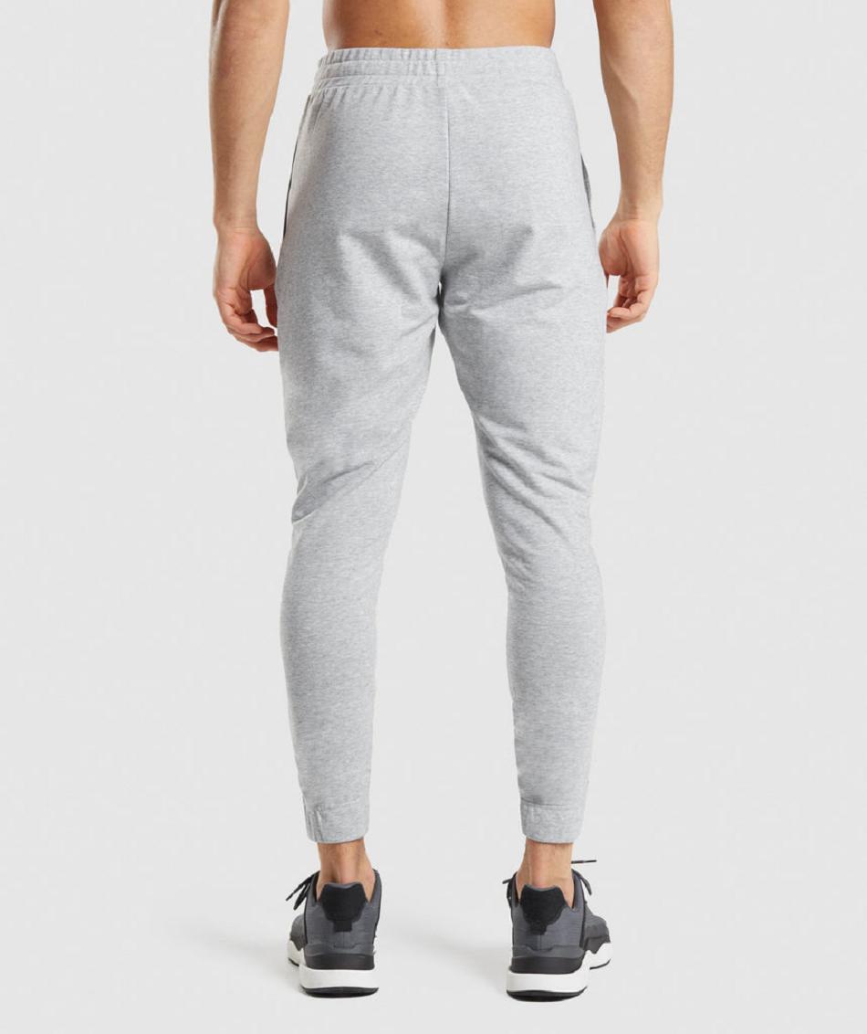 Pantalones Jogger Gymshark Critical 2.0 Hombre Grises Claro | MX_3678NWY