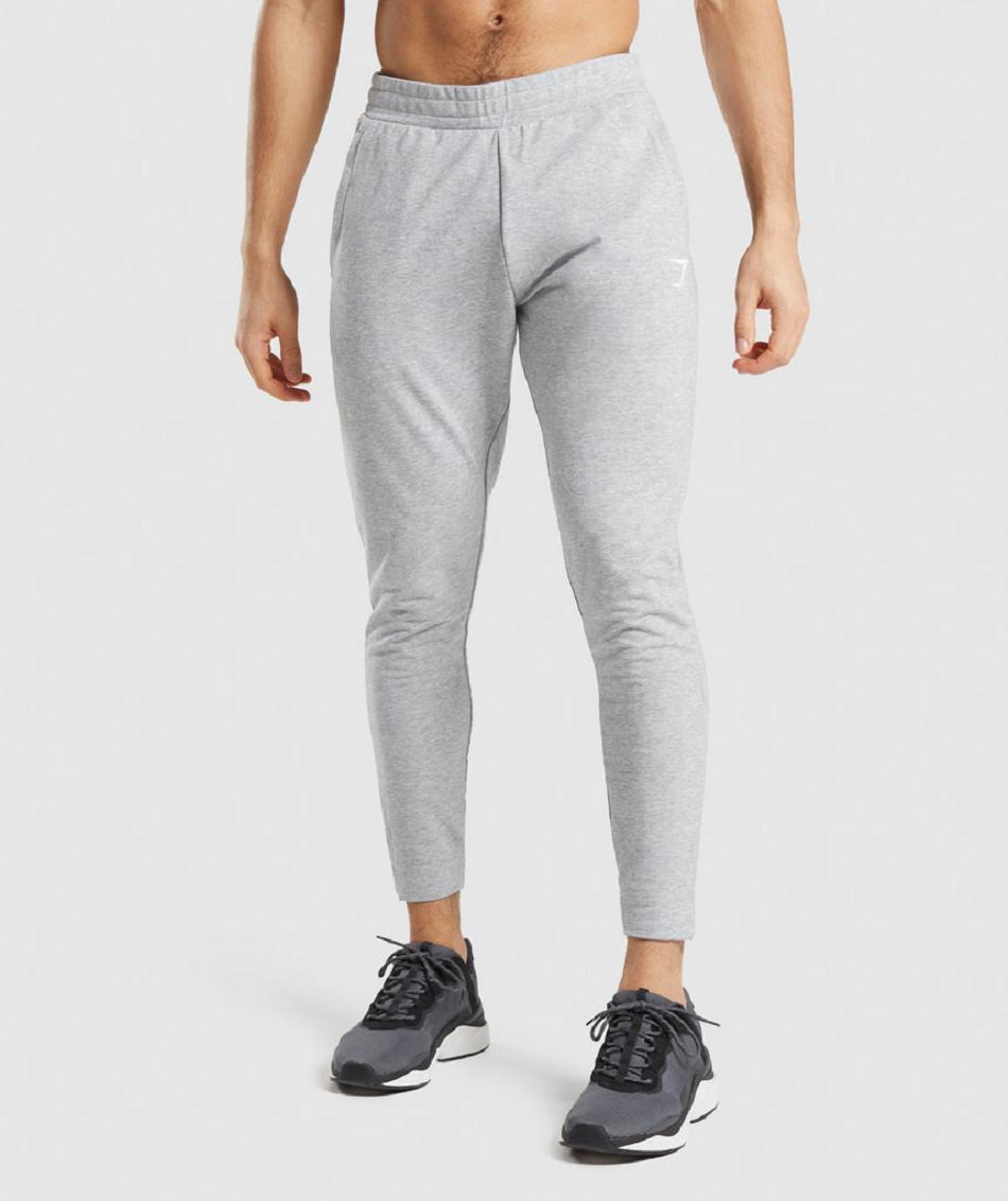 Pantalones Jogger Gymshark Critical 2.0 Hombre Grises Claro | MX_3678NWY