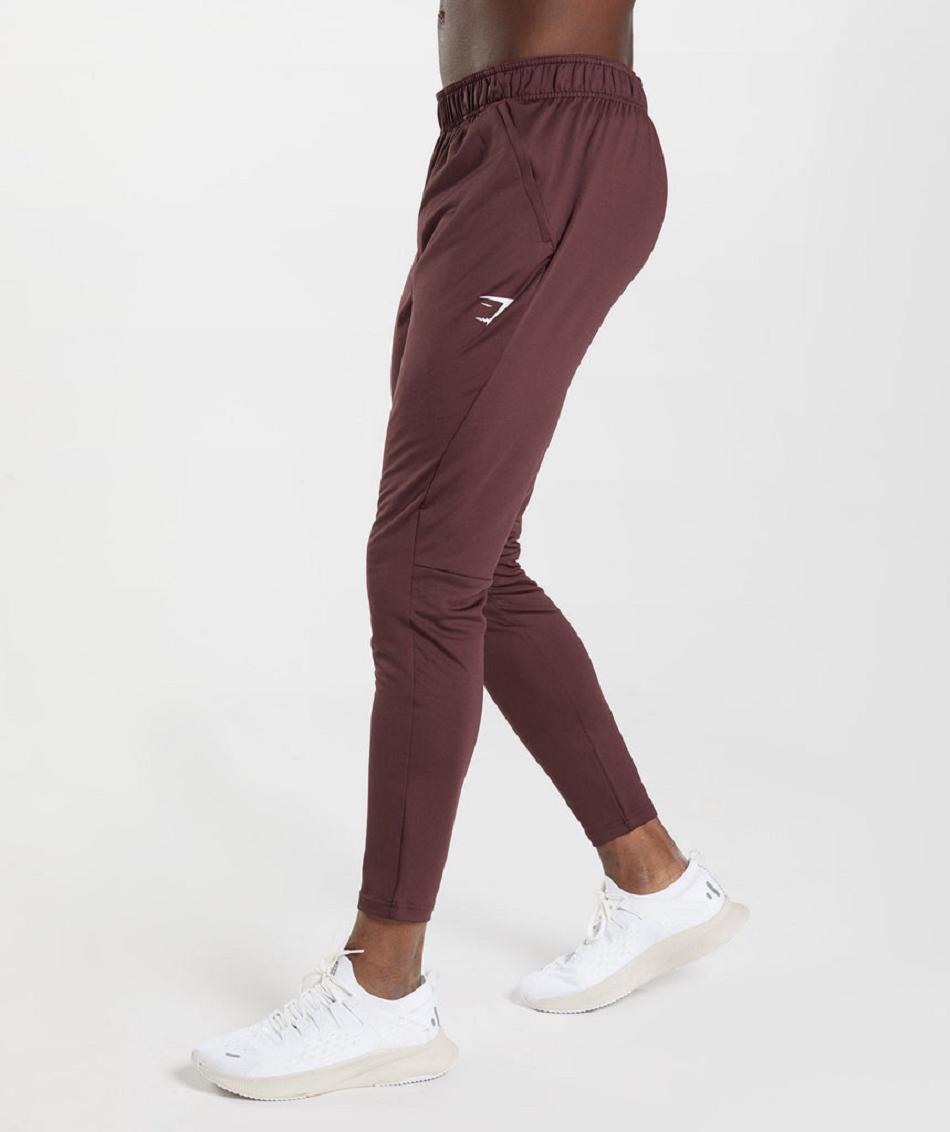 Pantalones Jogger Gymshark Deporte Hombre Vino | MX_3695JPQ