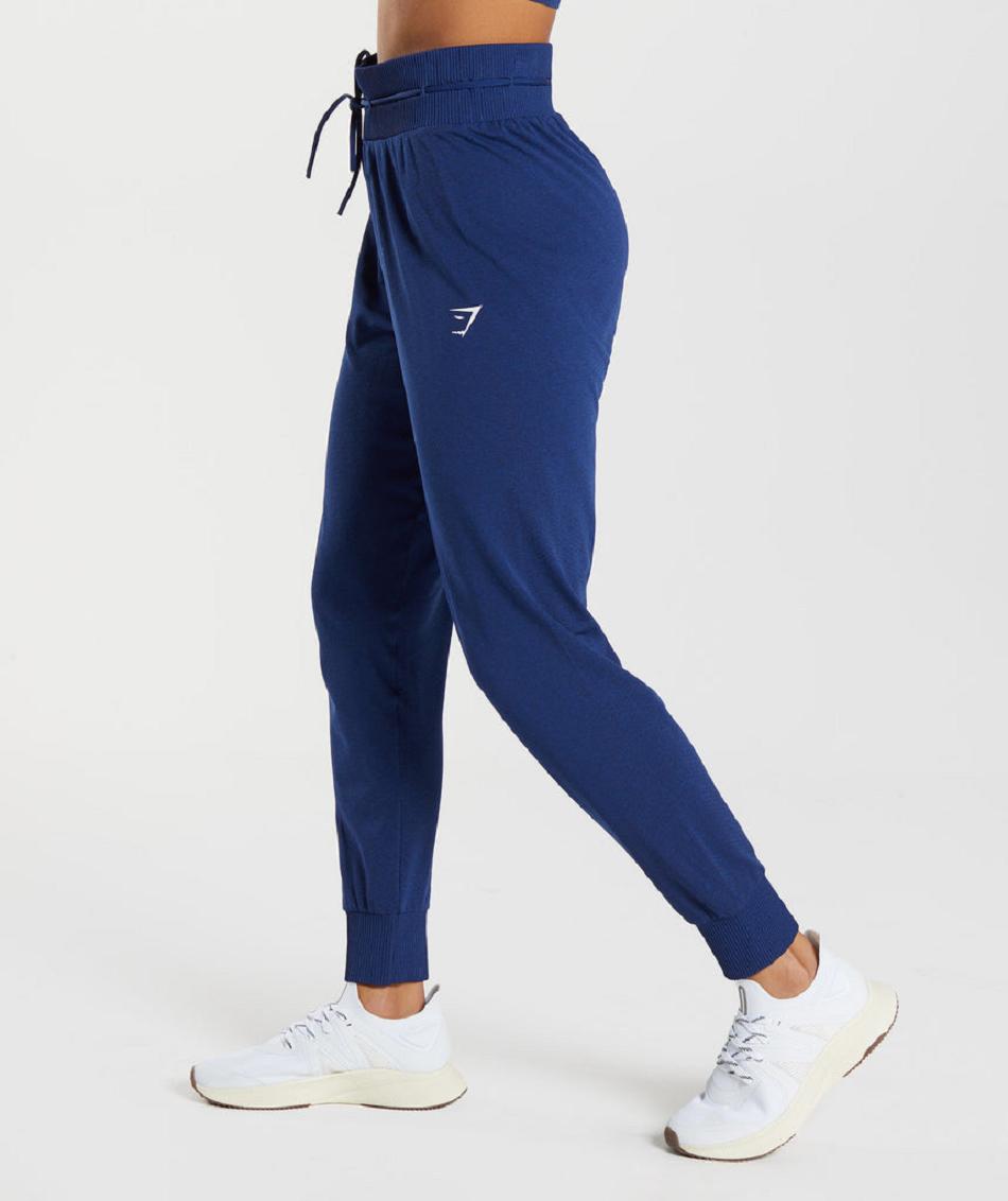 Pantalones Jogger Gymshark Vital Seamless 2.0 Mujer Azules | MX_4863KOR