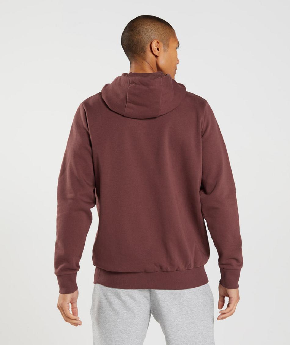 Sudadera Con Capucha Gymshark Block Hombre Rosas Marrom | MX_3468VRW