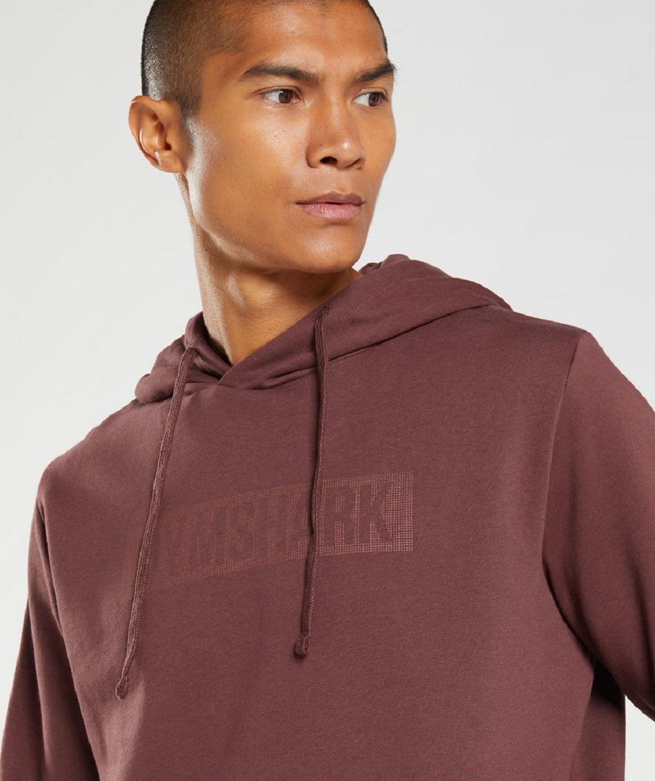 Sudadera Con Capucha Gymshark Block Hombre Rosas Marrom | MX_3468VRW