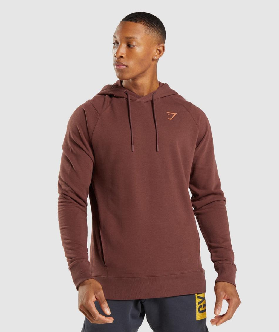 Sudadera Con Capucha Gymshark Bold Hombre Rosas Marrom | MX_3471MQZ