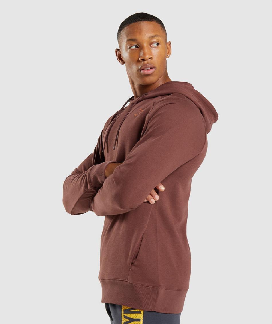 Sudadera Con Capucha Gymshark Bold Hombre Rosas Marrom | MX_3471MQZ