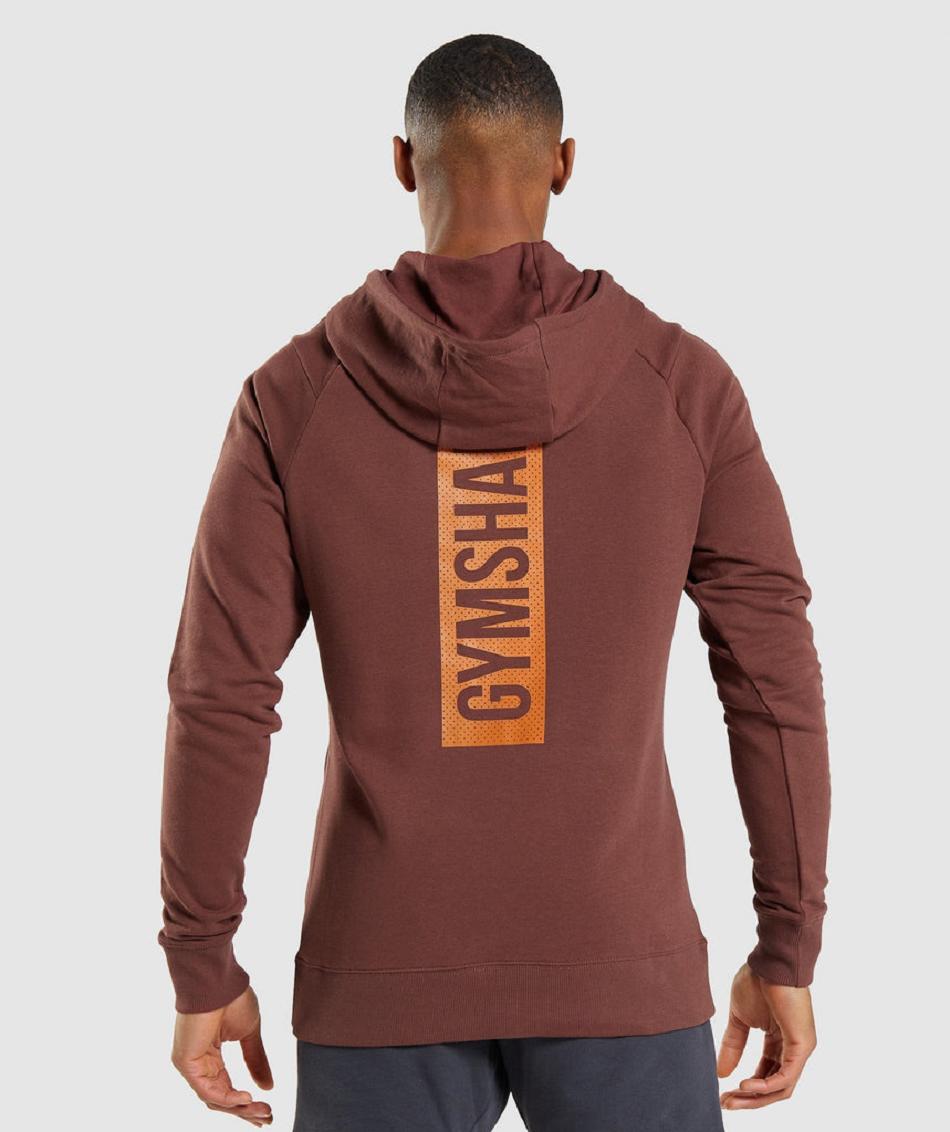 Sudadera Con Capucha Gymshark Bold Hombre Rosas Marrom | MX_3471MQZ